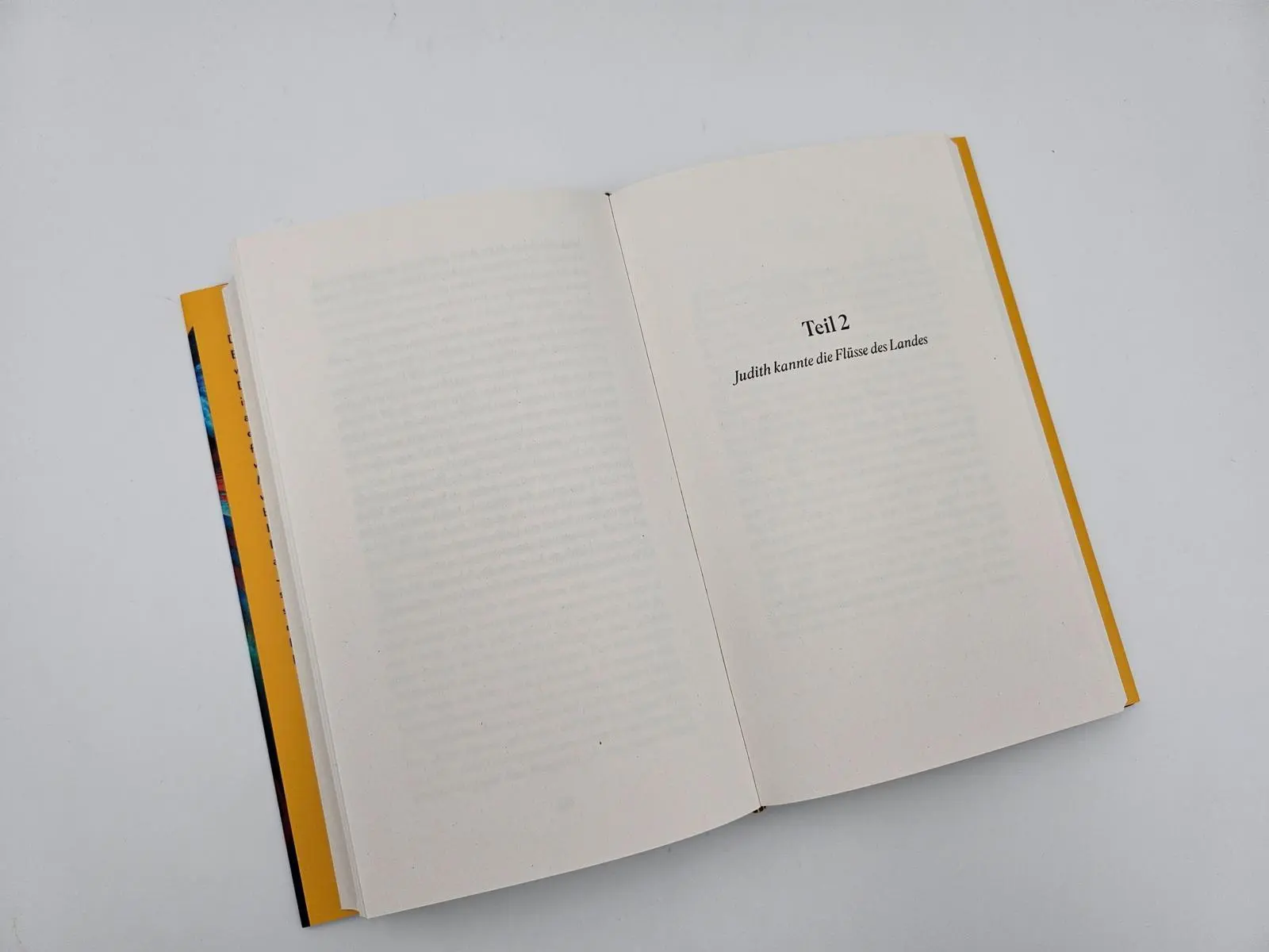 Bild: 9783827014931 | Wir sind hier für die Stille | Dorothee Riese | Buch | 240 S. | 2024