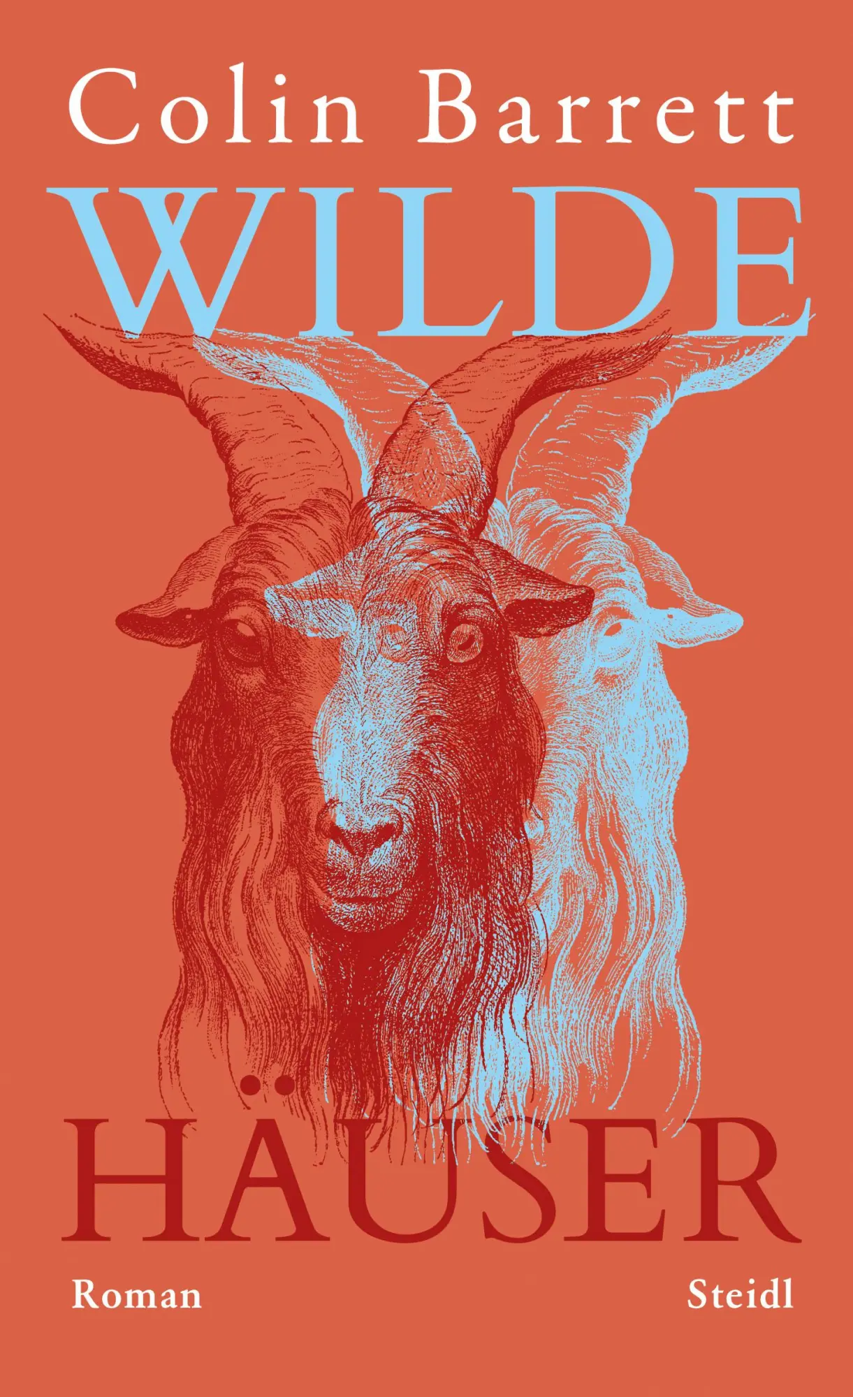 Cover: 9783969994931 | Wilde Häuser | Colin Barrett | Buch | 256 S. | Deutsch | 2026