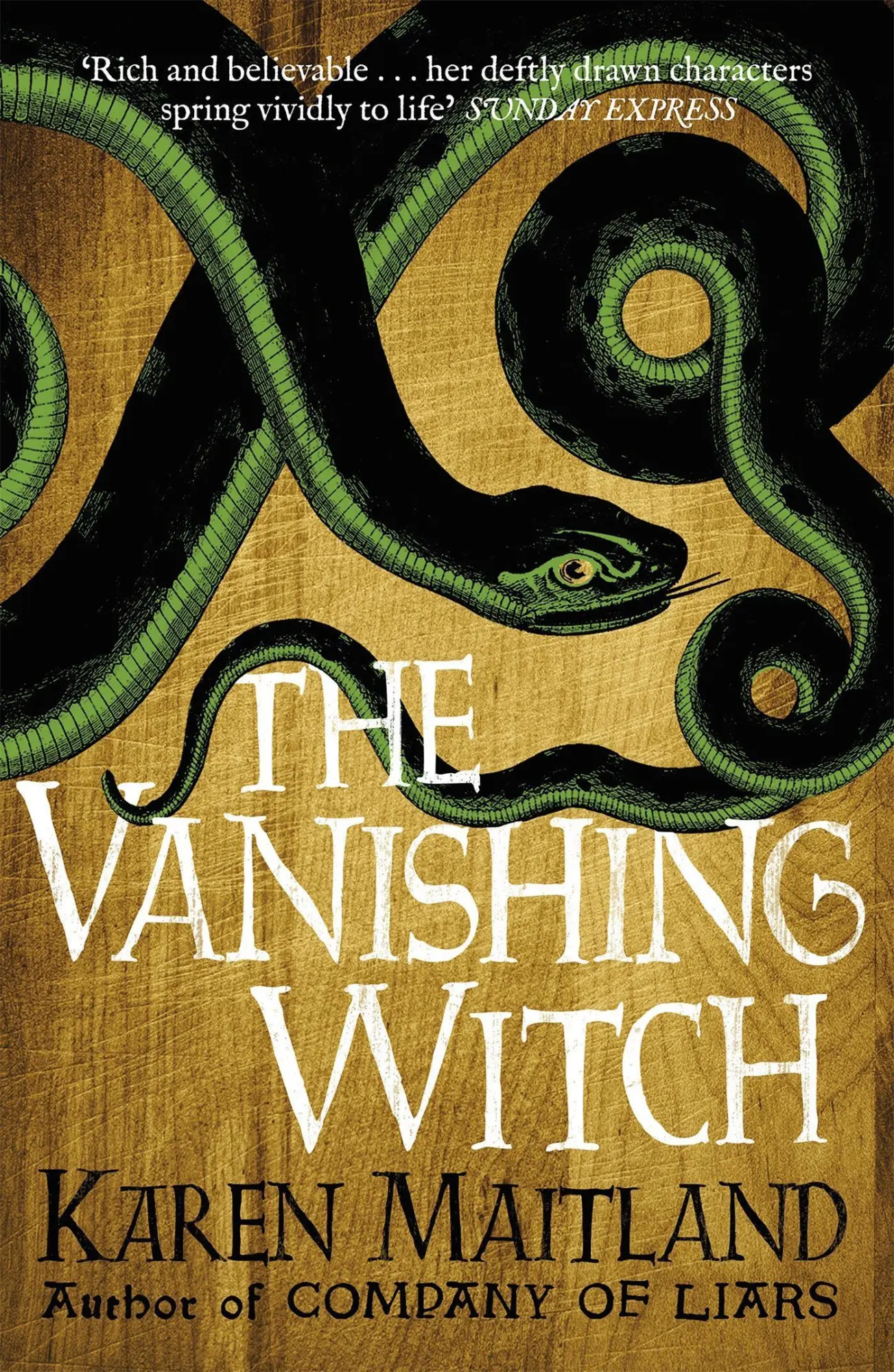 Cover: 9781472215031 | The Vanishing Witch | Karen Maitland | Taschenbuch | 595 S. | Englisch
