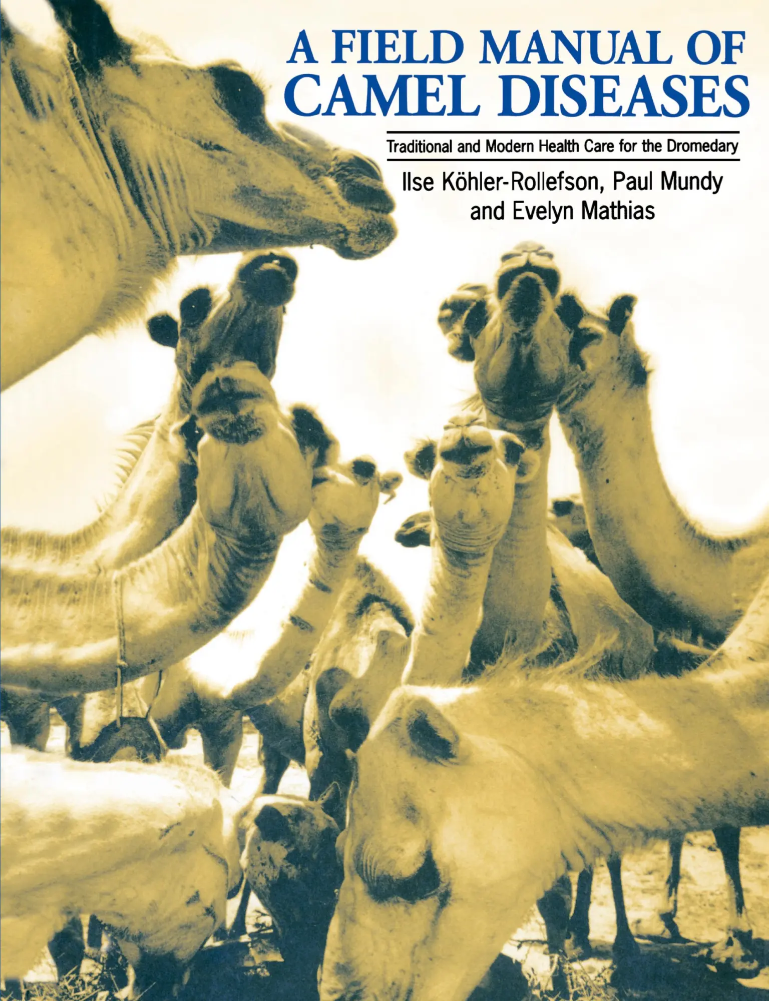 Cover: 9781853395031 | A Field Manual of Camel Diseases | Ilse Köhler-Rollefson (u. a.)