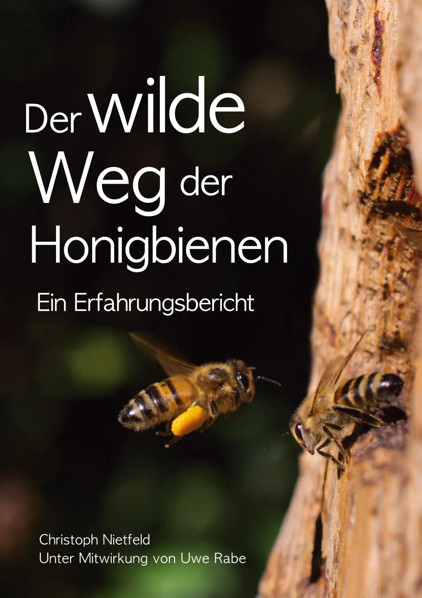 Cover: 9783347065031 | Der wilde Weg der Honigbienen | Ein Erfahrungsbericht | Nietfeld