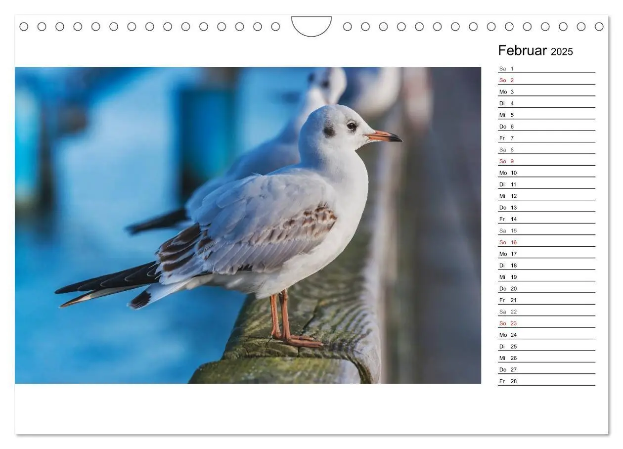 Bild: 9783435485031 | Ostseebad Binz - Zeit für Erholung (Wandkalender 2025 DIN A4 quer),...