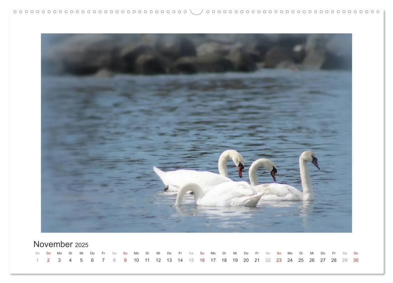 Bild: 9783435625031 | Sonneninsel Bornholm (Wandkalender 2025 DIN A2 quer), CALVENDO...