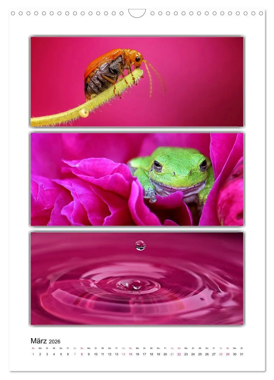 Bild: 9783516355031 | Farbsymphonien unserer Welt (Wandkalender 2026 DIN A3 hoch),...