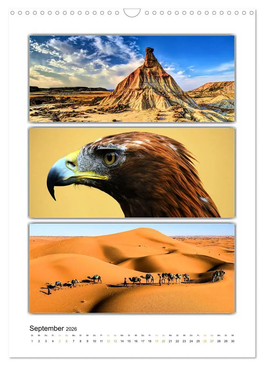 Bild: 9783516355031 | Farbsymphonien unserer Welt (Wandkalender 2026 DIN A3 hoch),...