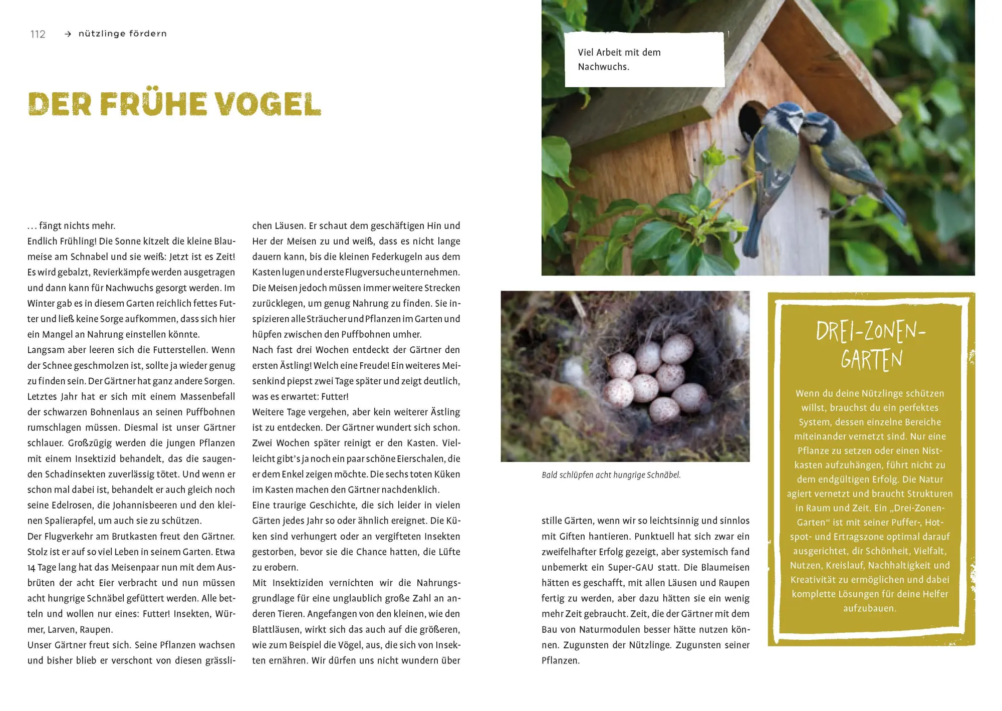 Bild: 9783818615031 | Boden &amp; Pflanzen natürlich stärken | Markus Gastl (u. a.) | Buch