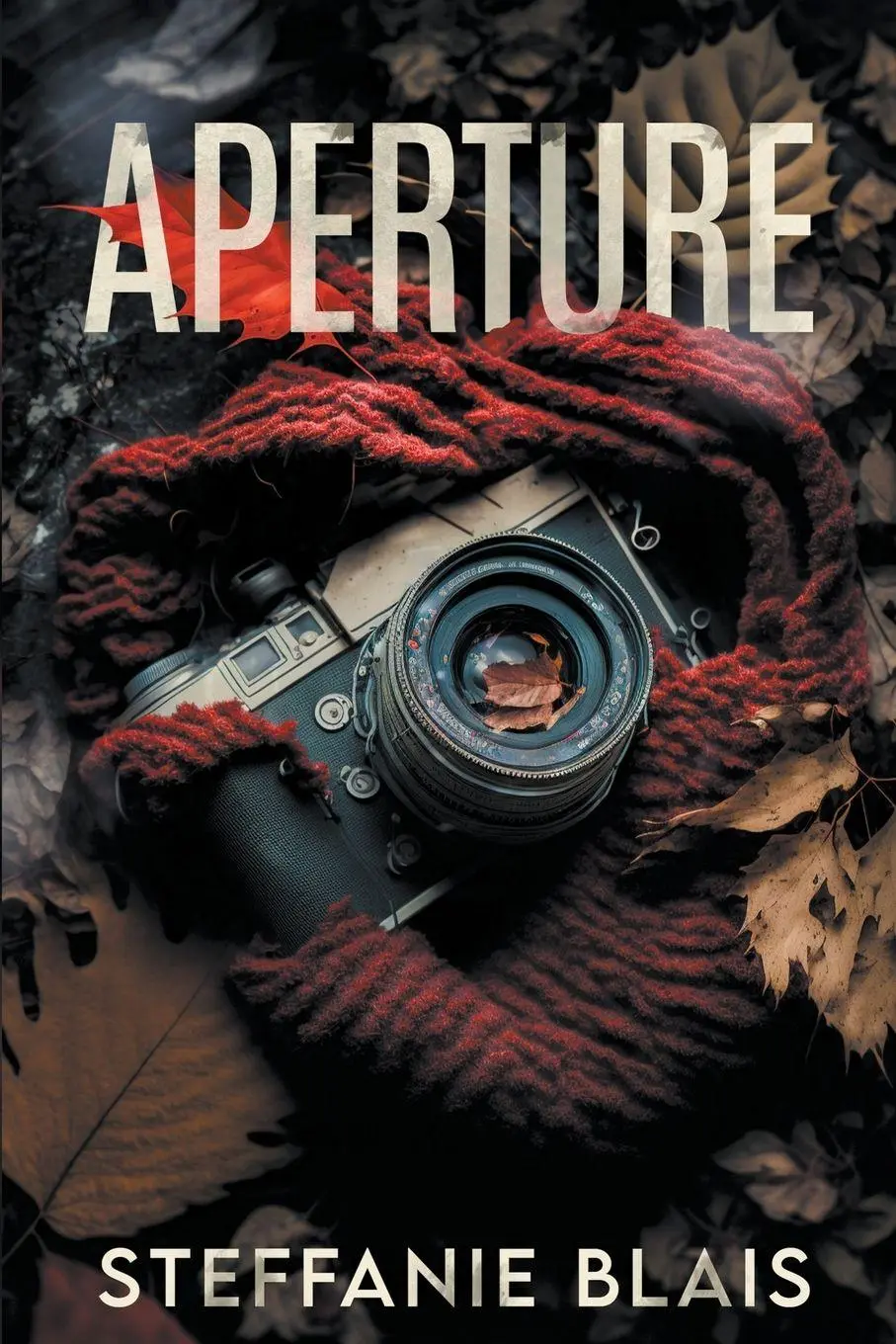 Cover: 9798223565031 | Aperture | Steffanie Blais | Taschenbuch | Englisch | 2023