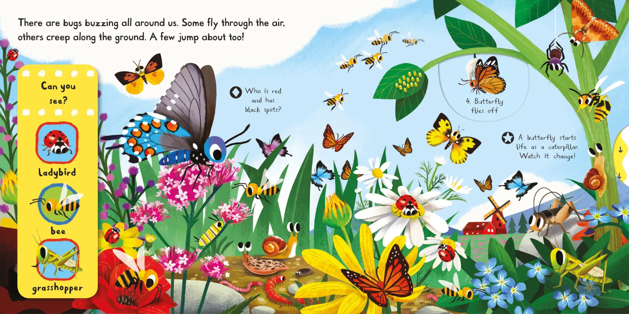 Bild: 9781509855131 | Brilliant Bugs | Campbell Books | Buch | Campbell First Explorers