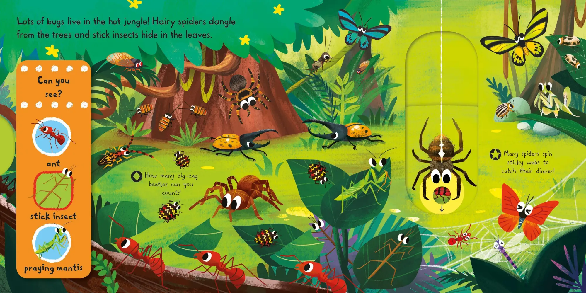Bild: 9781509855131 | Brilliant Bugs | Campbell Books | Buch | Campbell First Explorers