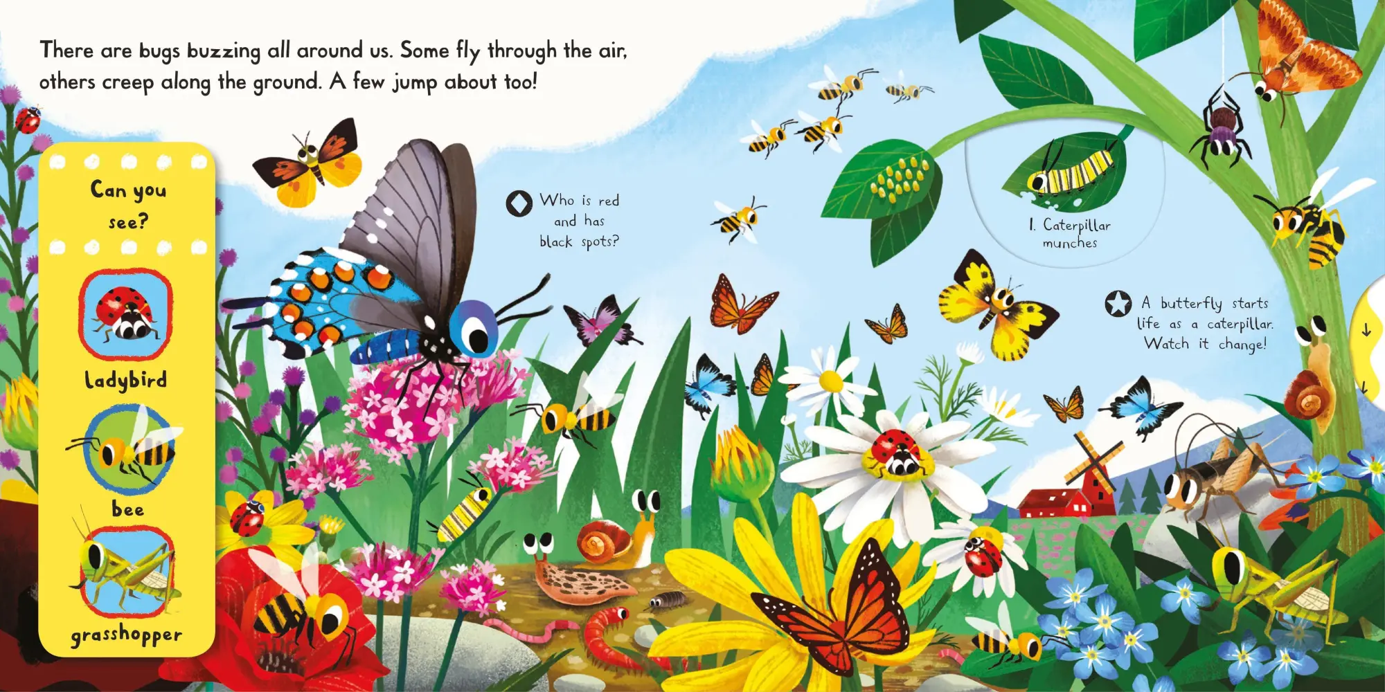 Bild: 9781509855131 | Brilliant Bugs | Campbell Books | Buch | Campbell First Explorers