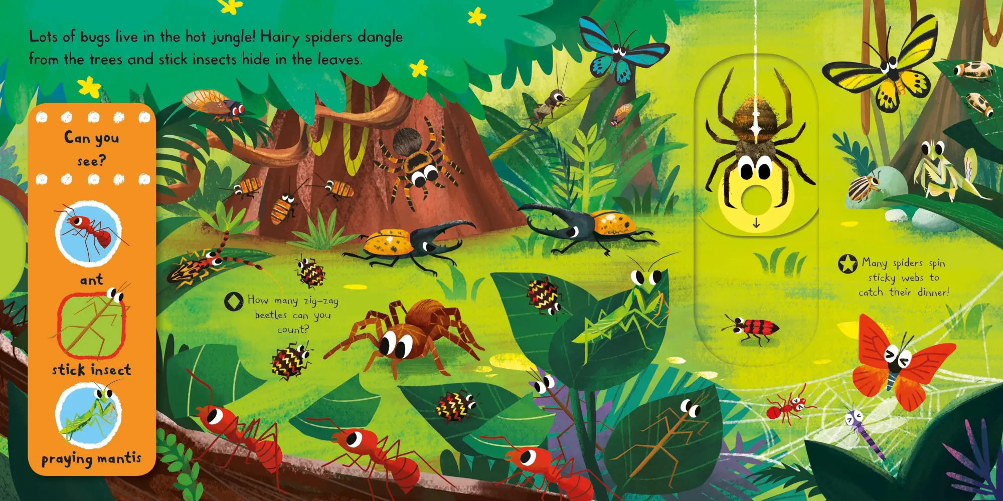 Bild: 9781509855131 | Brilliant Bugs | Campbell Books | Buch | Campbell First Explorers