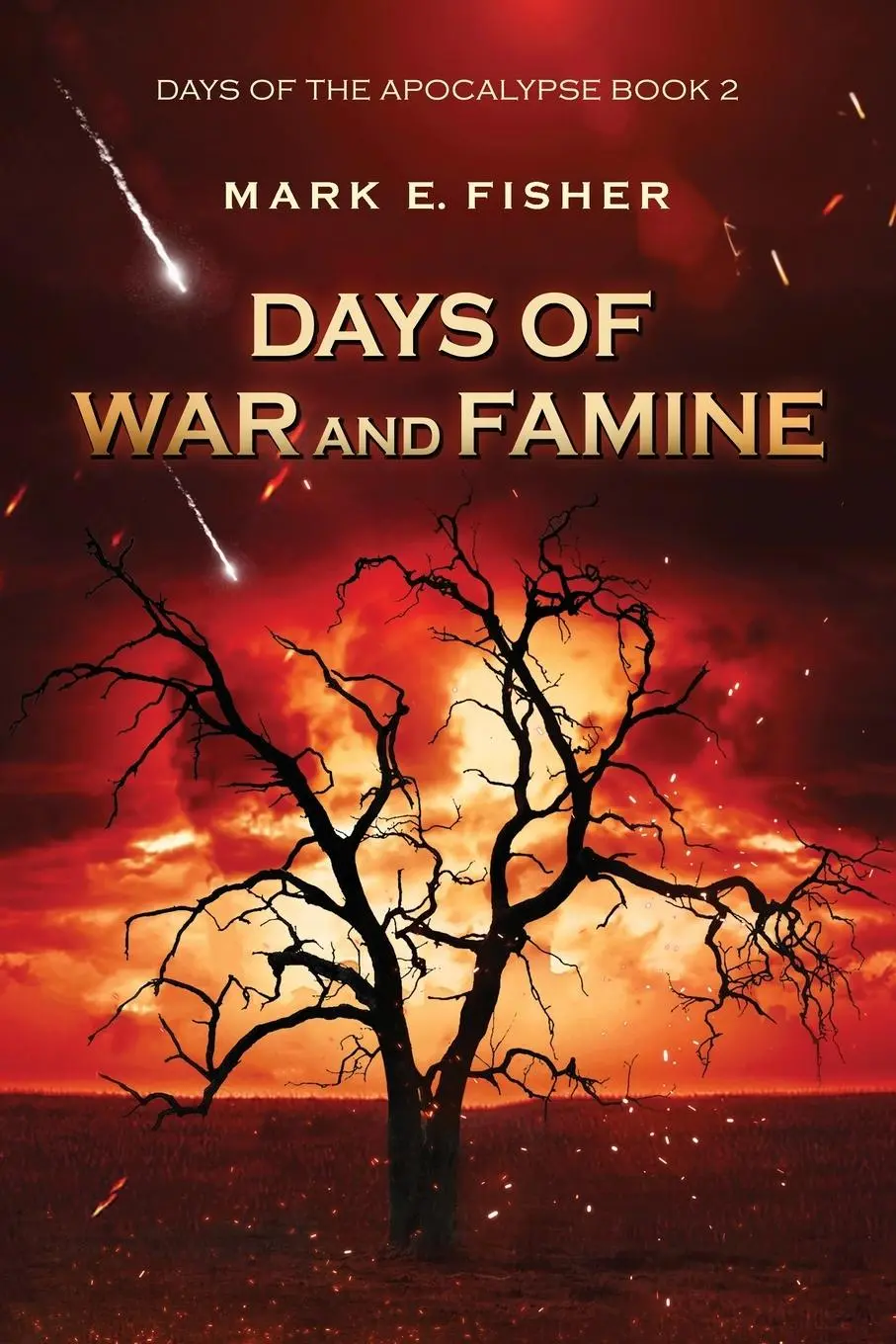 Cover: 9781950235131 | Days of War and Famine | Mark E. Fisher | Taschenbuch | Englisch