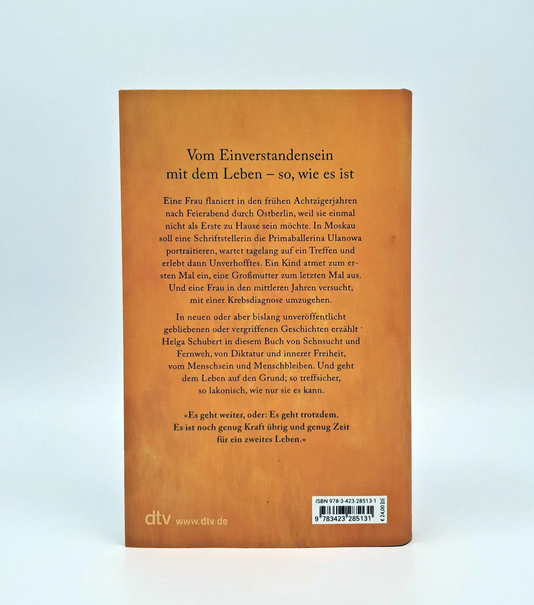 Bild: 9783423285131 | Luft zum Leben | Helga Schubert | Buch | 288 S. | Deutsch | 2025