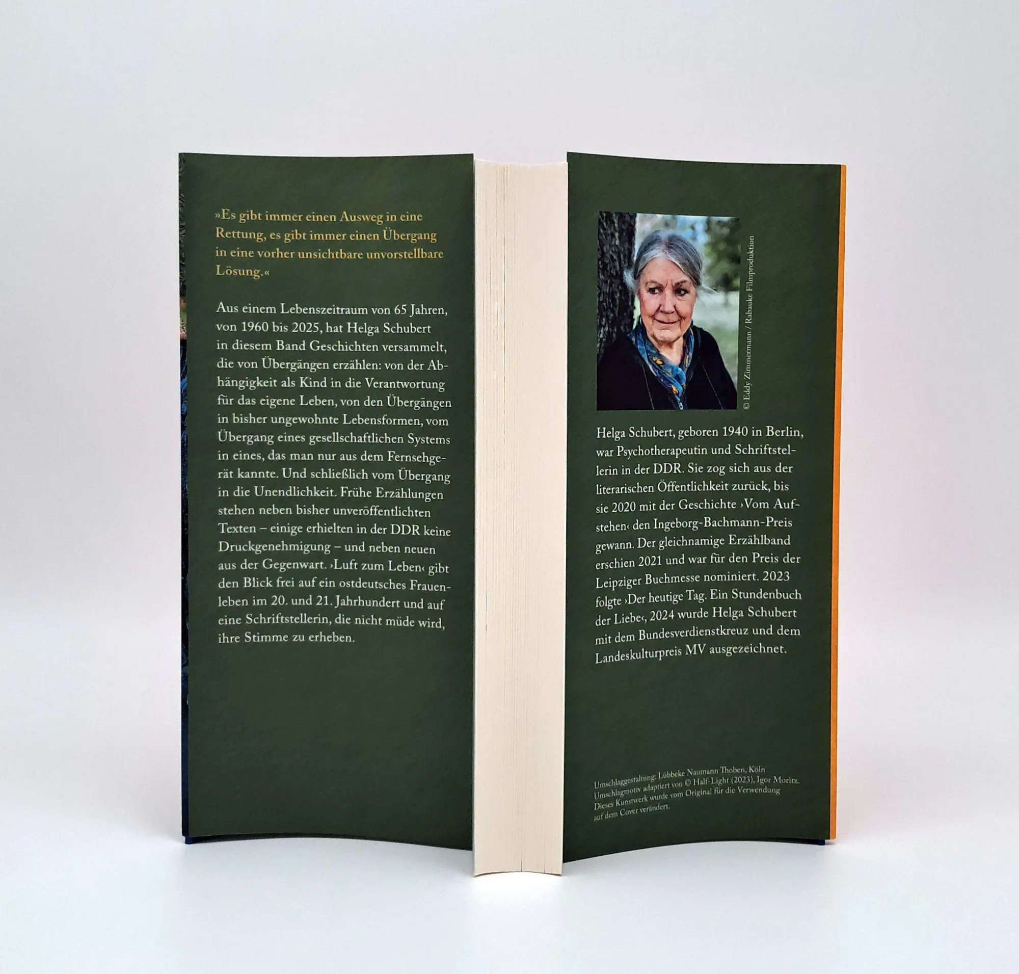 Bild: 9783423285131 | Luft zum Leben | Helga Schubert | Buch | 288 S. | Deutsch | 2025