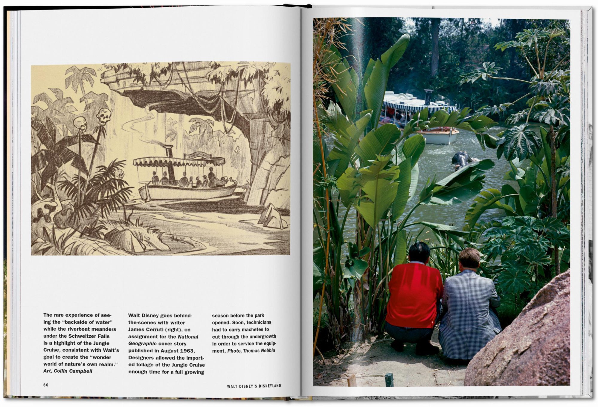 Bild: 9783836595131 | Walt Disney's Disneyland | Chris Nichols (u. a.) | Buch | 192 S.