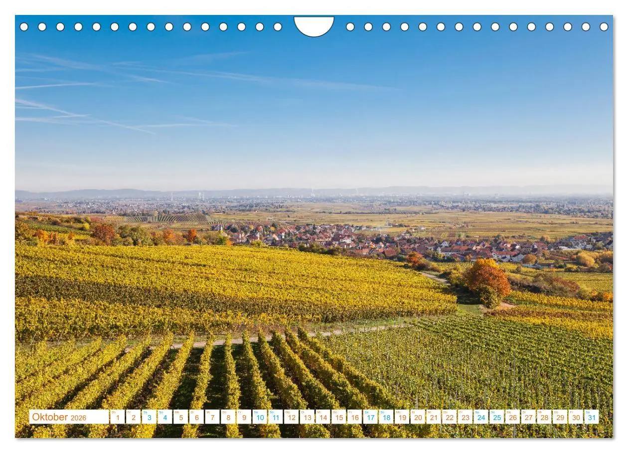 Bild: 9783457315231 | Freinsheim - So Wunderbar (Wandkalender 2026 DIN A4 quer), CALVENDO...
