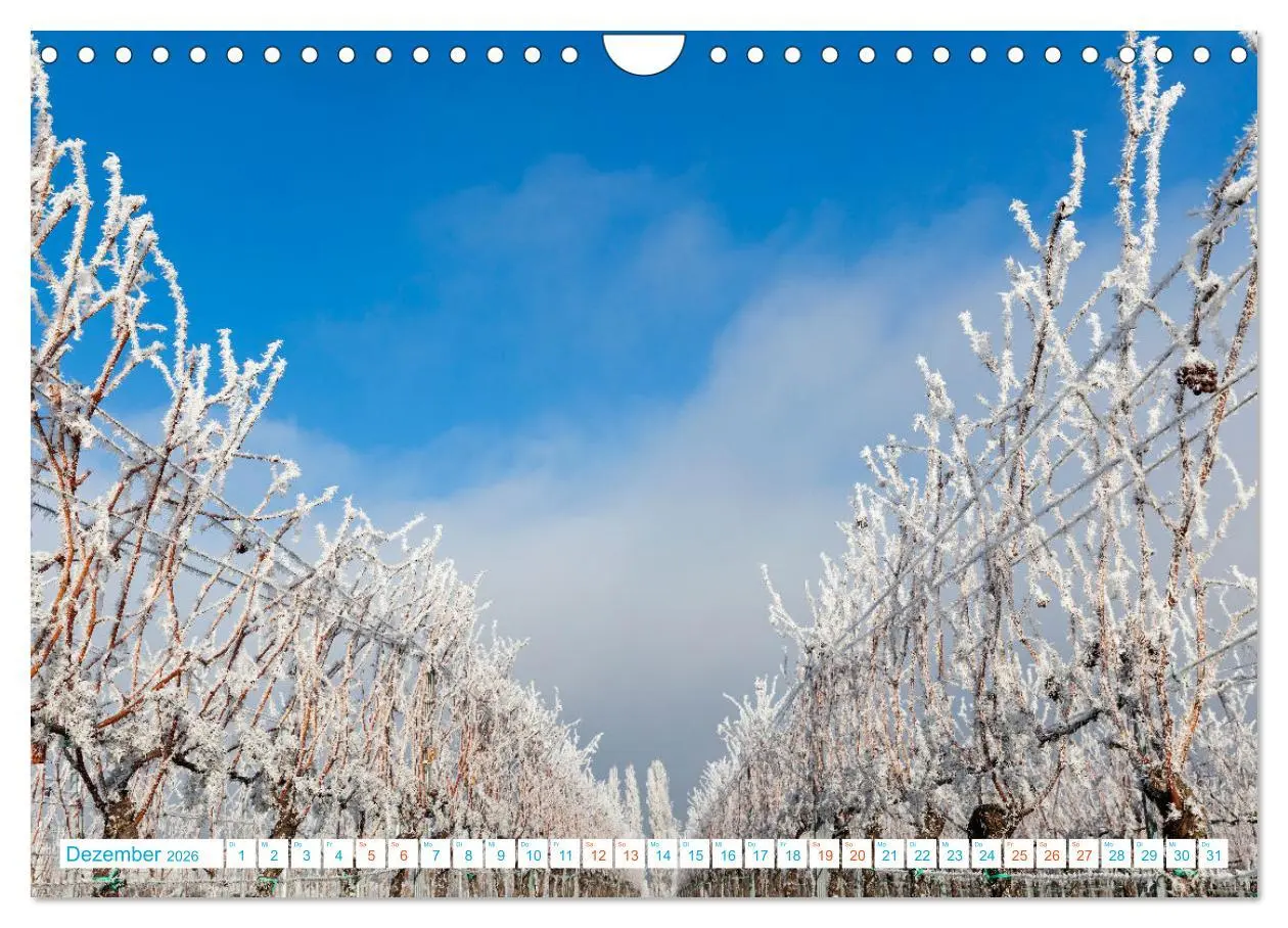 Bild: 9783457315231 | Freinsheim - So Wunderbar (Wandkalender 2026 DIN A4 quer), CALVENDO...