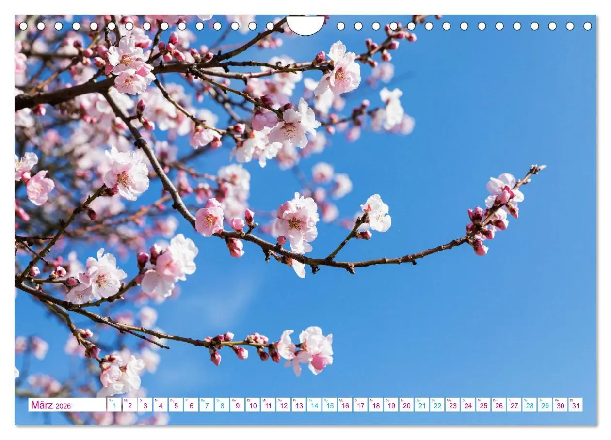 Bild: 9783457315231 | Freinsheim - So Wunderbar (Wandkalender 2026 DIN A4 quer), CALVENDO...
