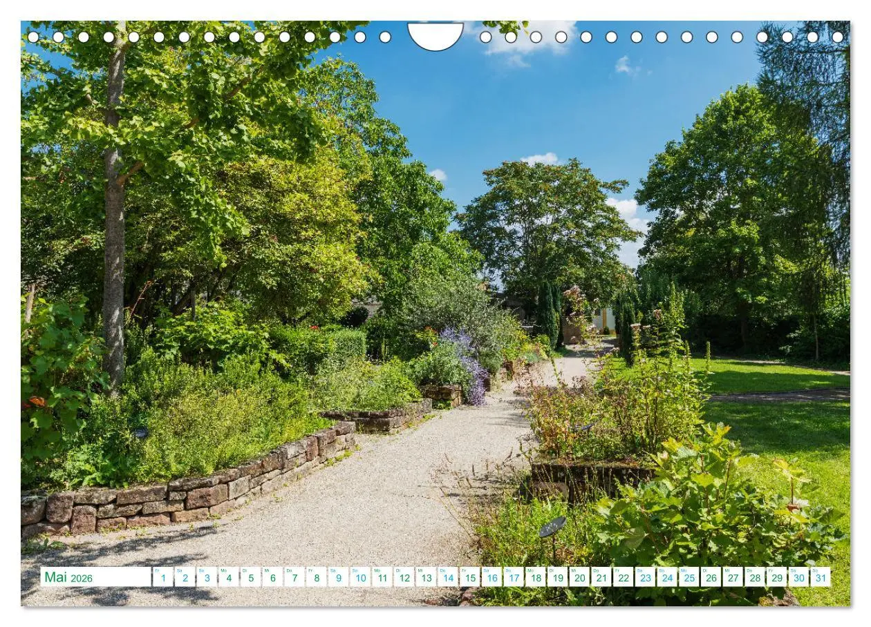 Bild: 9783457315231 | Freinsheim - So Wunderbar (Wandkalender 2026 DIN A4 quer), CALVENDO...