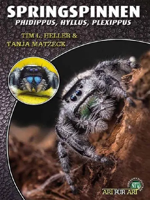 Cover: 9783866595231 | Springspinnen | Phidippus, Hyllus, Plexippus | Tim L. Heller (u. a.)