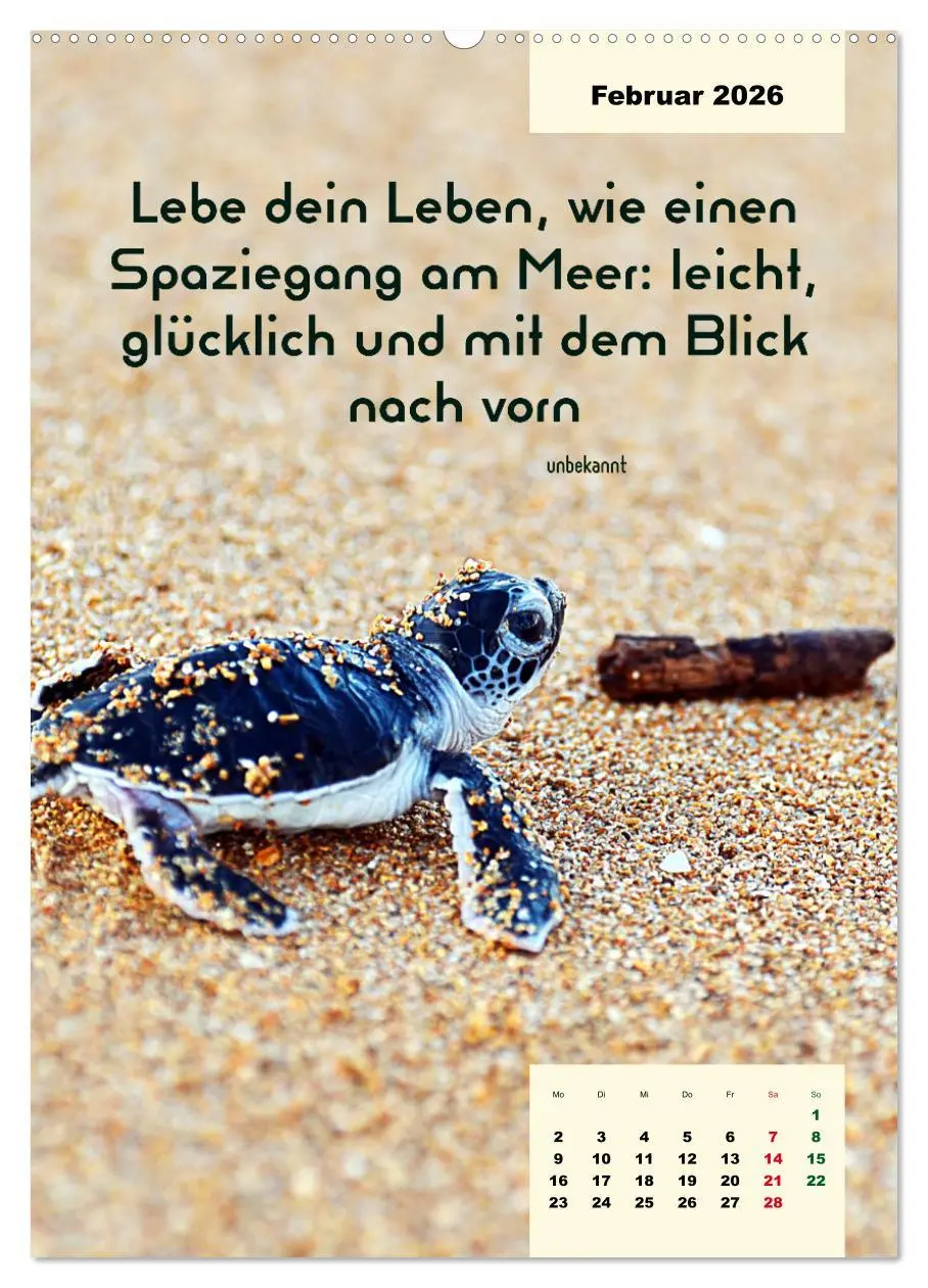Bild: 9783516325331 | Verrückt nach MEER - Wellen - Strand - Zitate (hochwertiger Premium...