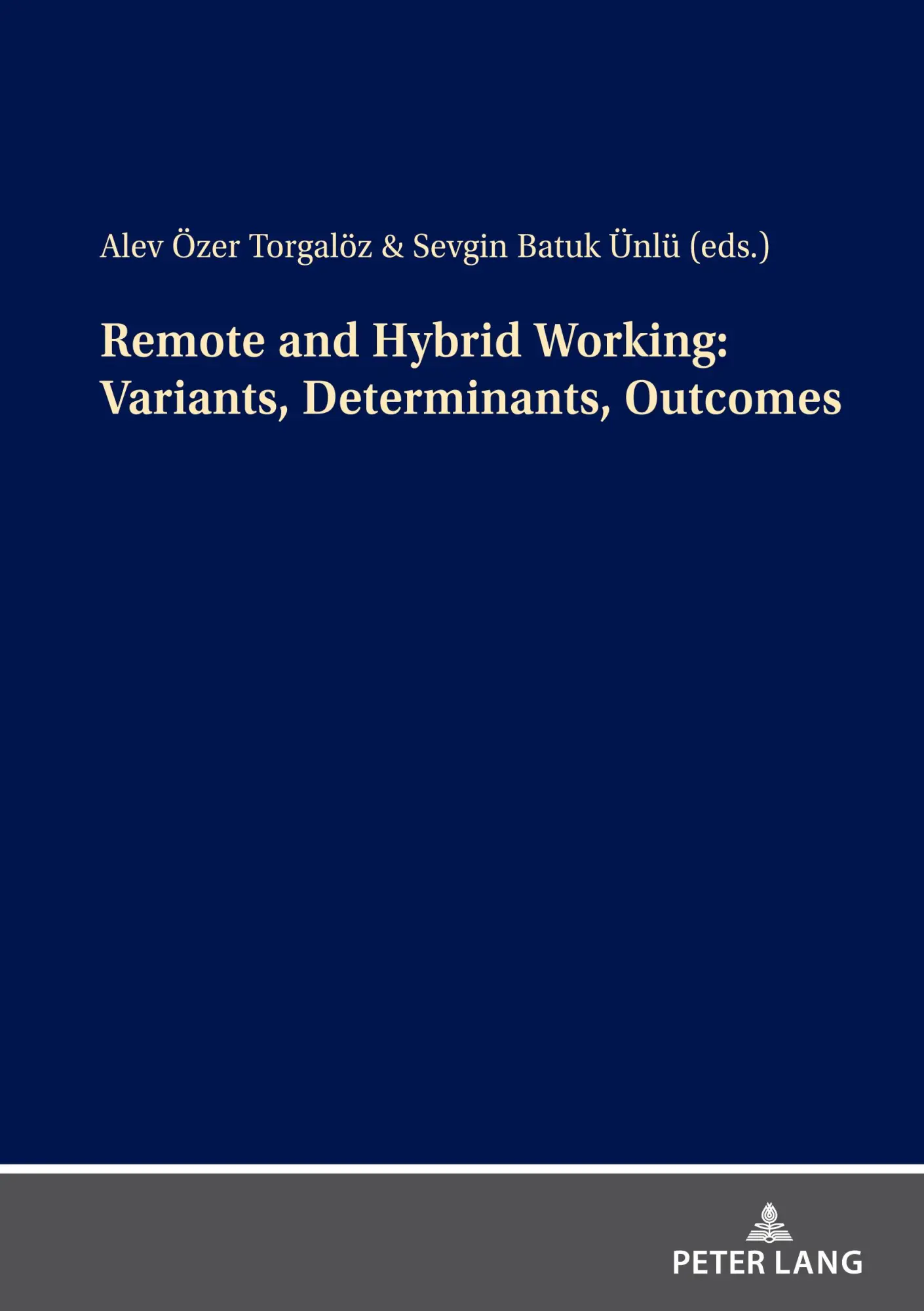 Remote and Hybrid Working Variants Determinants Outcomes Kartoniert (TB)