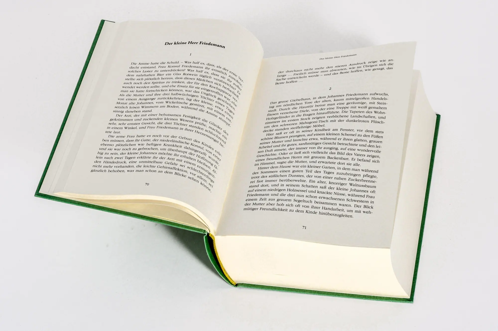 Bild: 9783730615331 | Thomas Mann, Gesammelte Werke: Die Erzählungen | Thomas Mann | Buch