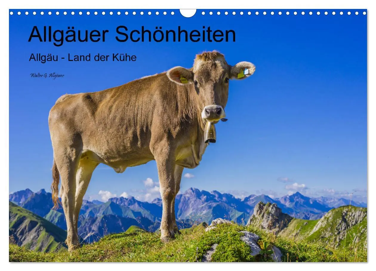 Cover: 9783457845431 | Allgäuer Schönheiten Allgäu - Land der Kühe (Wandkalender 2026 DIN...