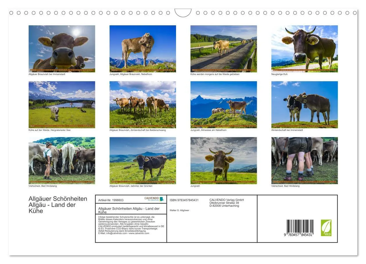 Bild: 9783457845431 | Allgäuer Schönheiten Allgäu - Land der Kühe (Wandkalender 2026 DIN...