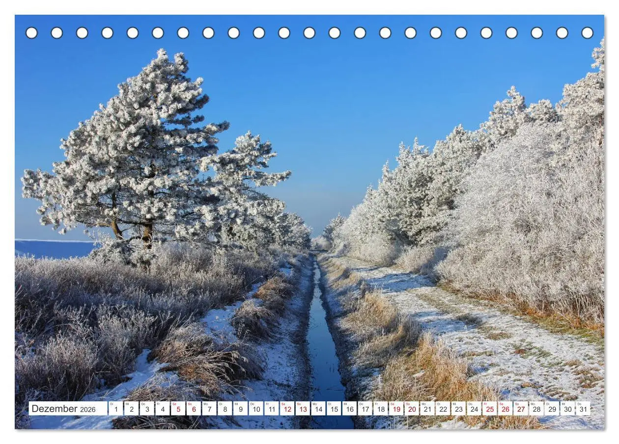 Bild: 9783457905531 | ST. PETER ORDING Strand und Meer (Tischkalender 2026 DIN A5 quer),...