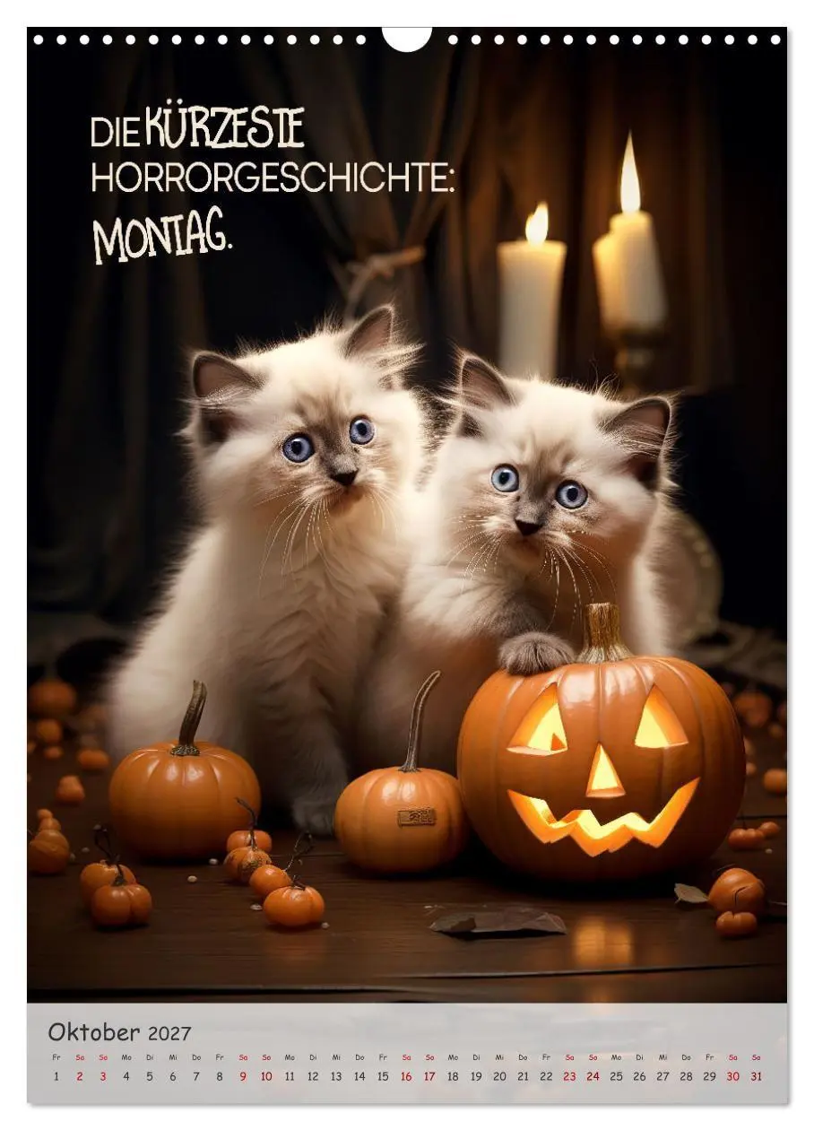 Bild: 9783569185531 | COOLE KATZEN Sprücheklopfer (Wandkalender 2027 DIN A3 hoch),...