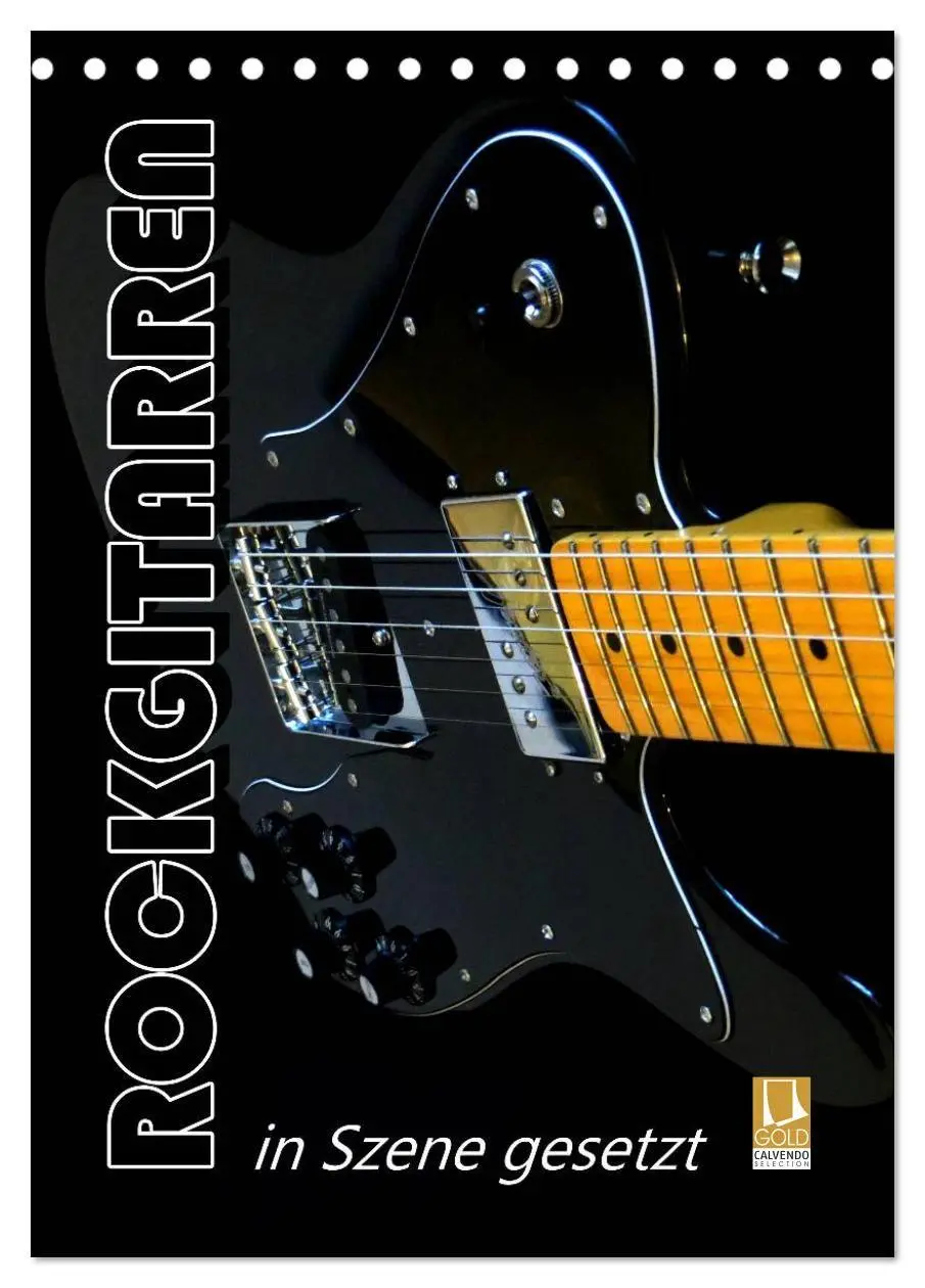 Cover: 9783594145531 | ROCKGITARREN in Szene gesetzt / Geburtstagskalender (Tischkalender...