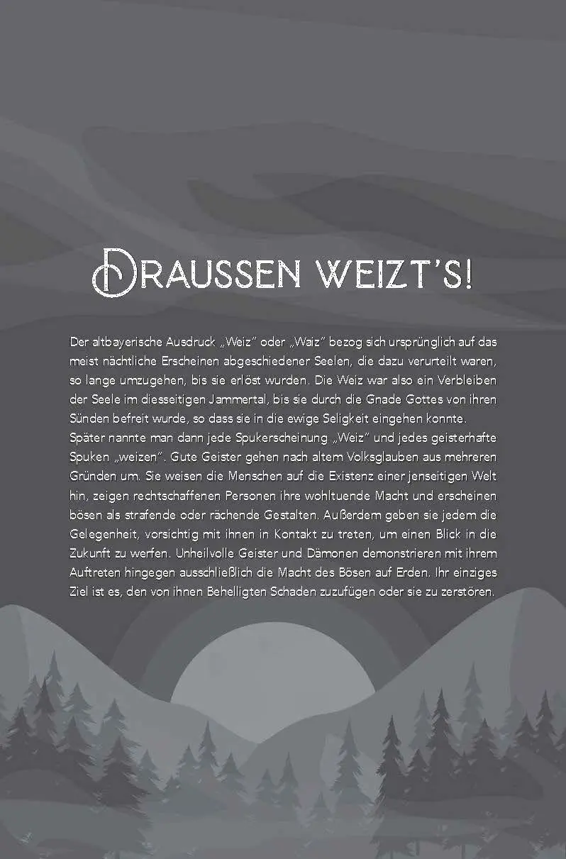 Bild: 9783892515531 | Von Nebelfrauen und Schneegespenstern | Alfons Schweiggert | Buch