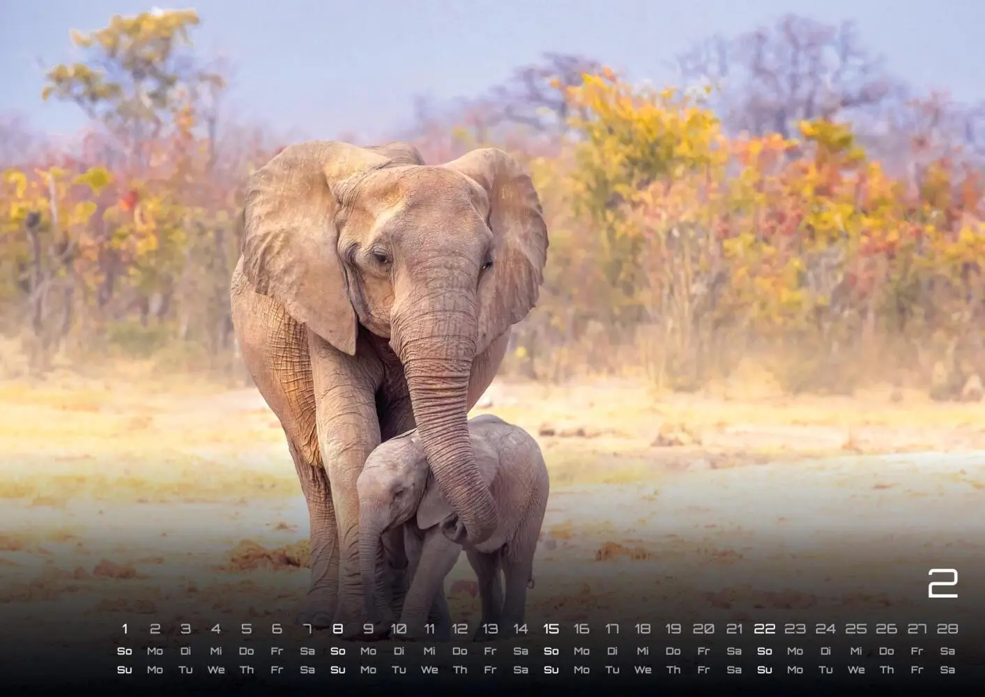 Bild: 9783986735531 | Elefanten - einzigartige Giganten - 2026 - Kalender DIN A3 | Kalender