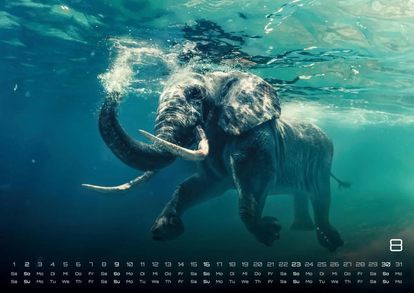 Bild: 9783986735531 | Elefanten - einzigartige Giganten - 2026 - Kalender DIN A3 | Kalender
