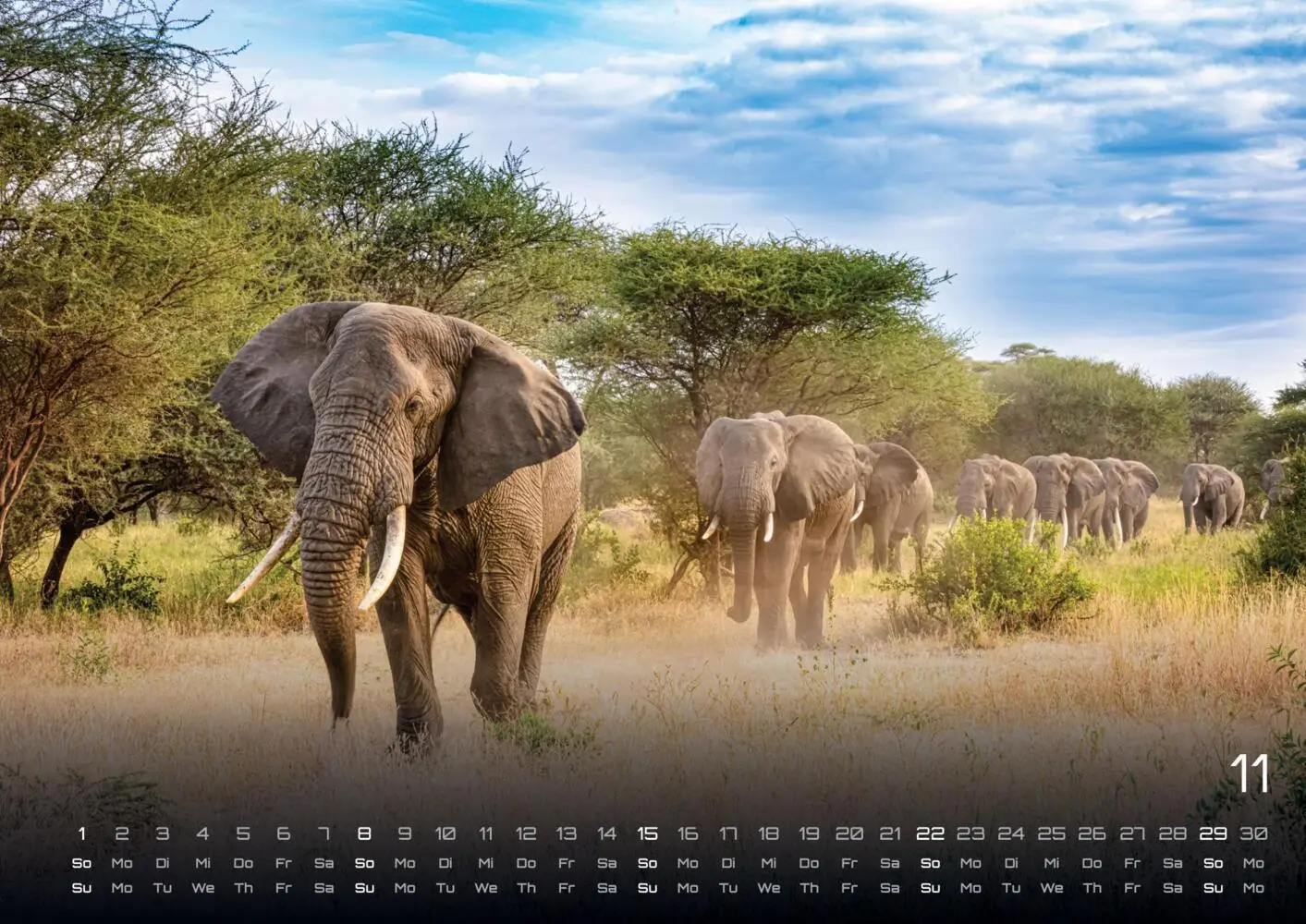 Bild: 9783986735531 | Elefanten - einzigartige Giganten - 2026 - Kalender DIN A3 | Kalender