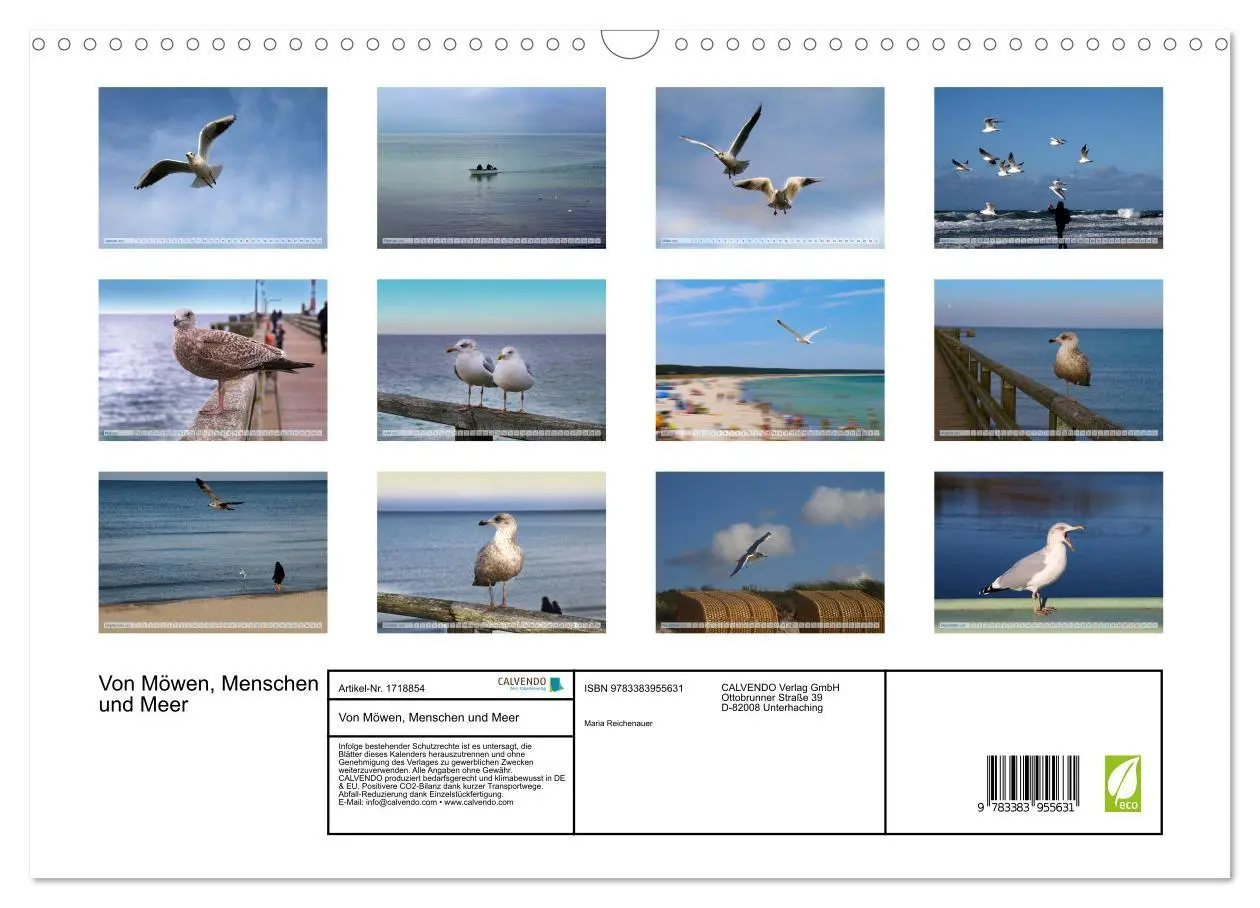 Bild: 9783383955631 | Von Möwen, Menschen und Meer (Wandkalender 2025 DIN A3 quer),...