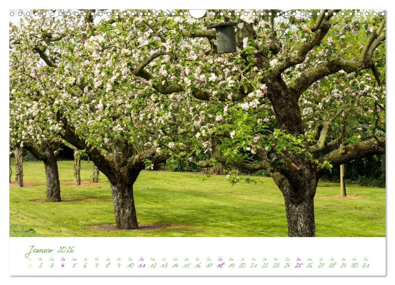 Bild: 9783457995631 | Kreislehrgarten in Steinfurt (Wandkalender 2026 DIN A3 quer),...