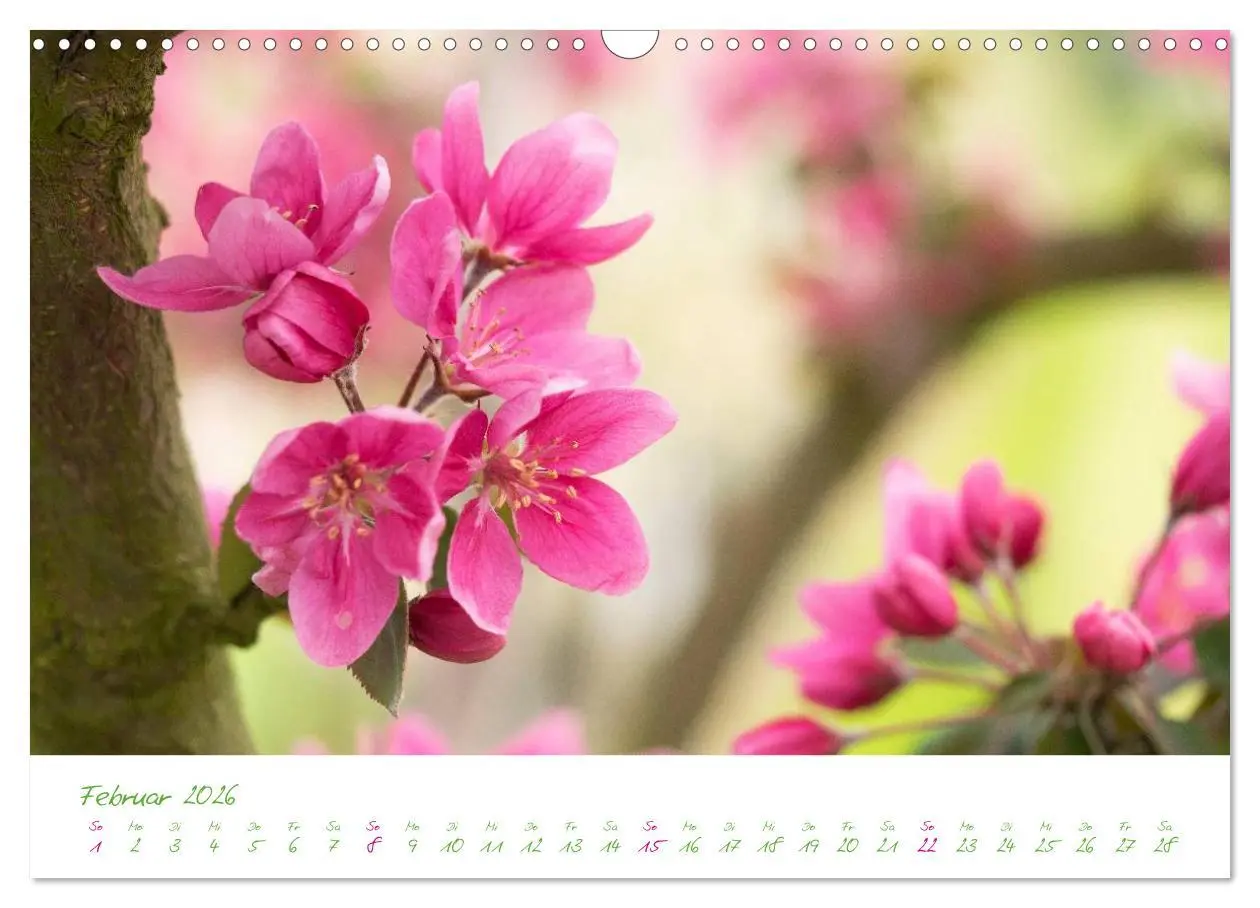 Bild: 9783457995631 | Kreislehrgarten in Steinfurt (Wandkalender 2026 DIN A3 quer),...