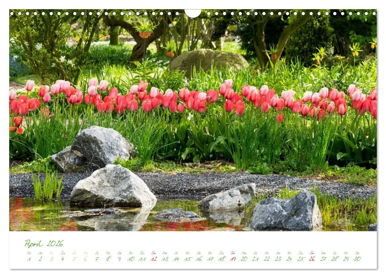 Bild: 9783457995631 | Kreislehrgarten in Steinfurt (Wandkalender 2026 DIN A3 quer),...