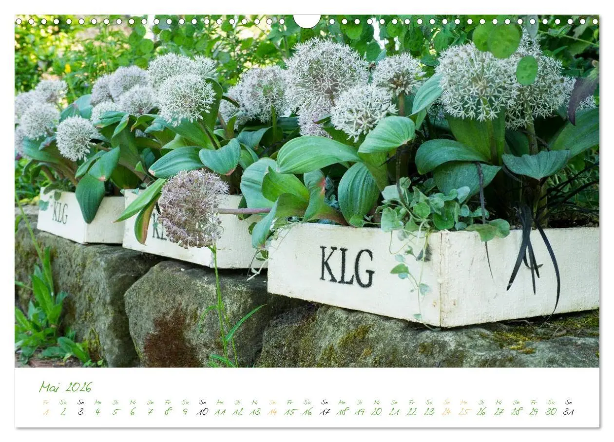 Bild: 9783457995631 | Kreislehrgarten in Steinfurt (Wandkalender 2026 DIN A3 quer),...