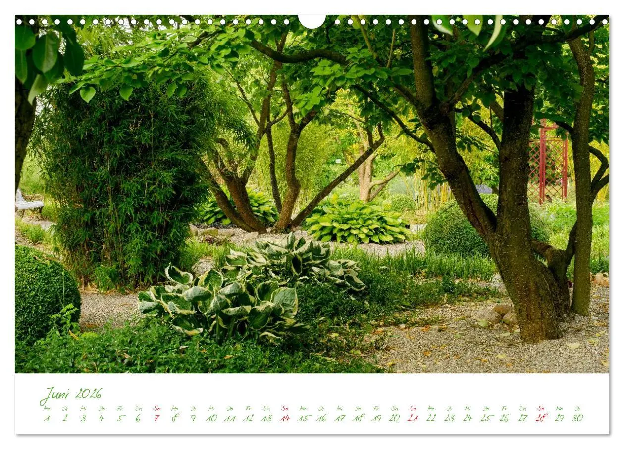 Bild: 9783457995631 | Kreislehrgarten in Steinfurt (Wandkalender 2026 DIN A3 quer),...