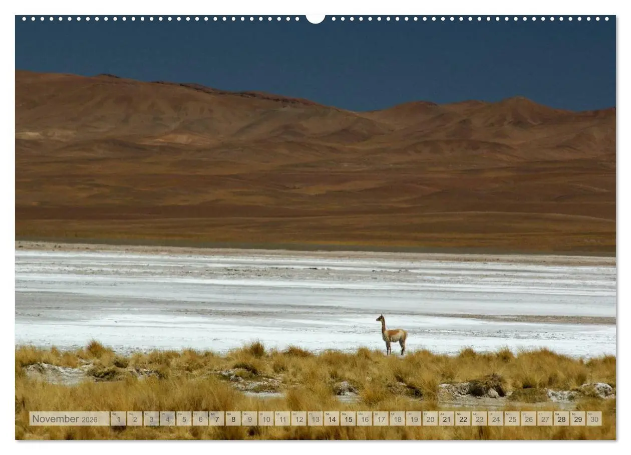 Bild: 9783516085631 | Argentinien Christian Heeb (hochwertiger Premium Wandkalender 2026...