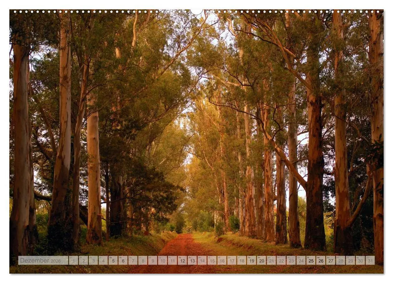 Bild: 9783516085631 | Argentinien Christian Heeb (hochwertiger Premium Wandkalender 2026...