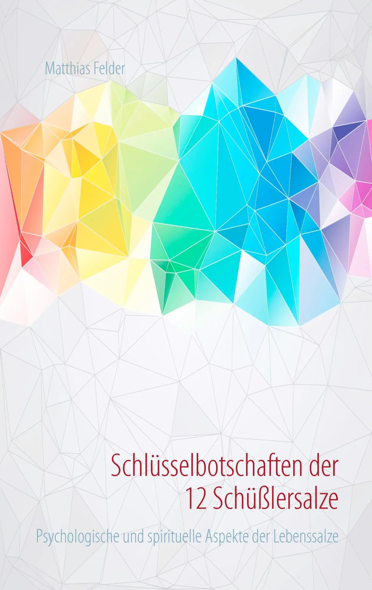 Cover: 9783732285631 | Schlüsselbotschaften der 12 Schüßlersalze | Matthias Felder | Buch