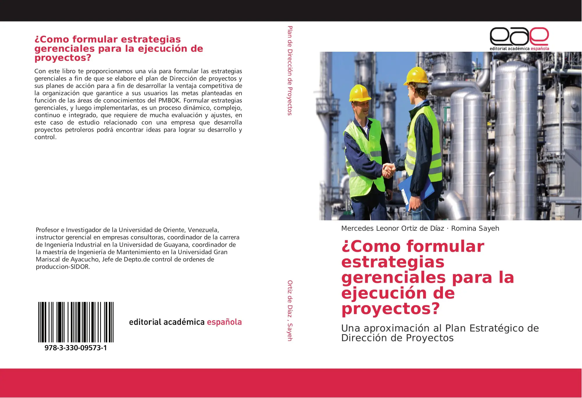Cover: 9783330095731 | ¿Como formular estrategias gerenciales para la ejecución de proyectos?