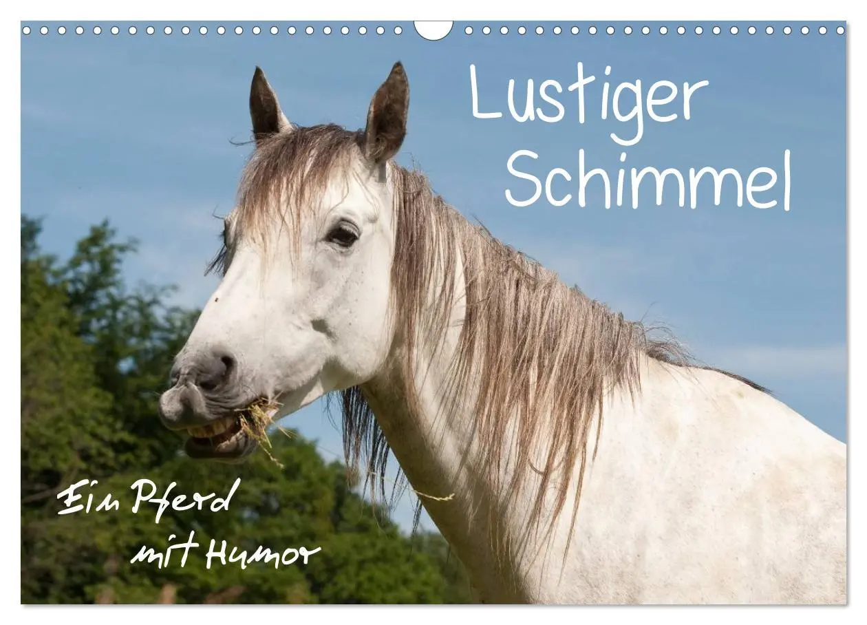 Cover: 9783457985731 | Lustiger Schimmel - ein Pferd mit Humor (Wandkalender 2026 DIN A3...