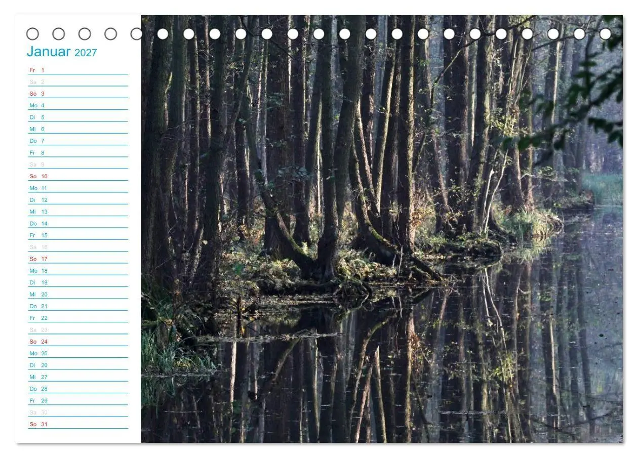 Bild: 9783569925731 | Wunderschöner Spreewald (Tischkalender 2027 DIN A5 quer), CALVENDO...