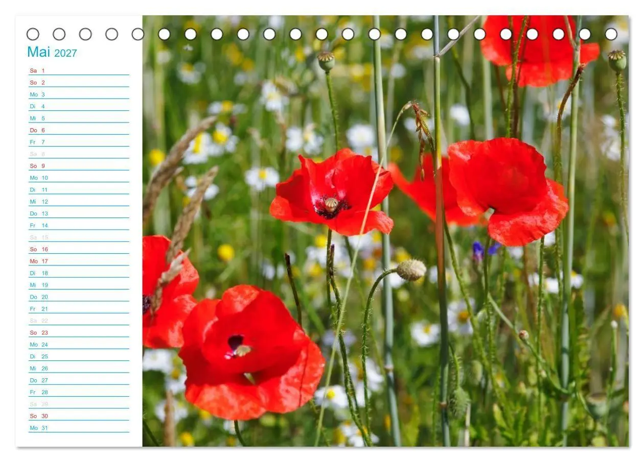 Bild: 9783569925731 | Wunderschöner Spreewald (Tischkalender 2027 DIN A5 quer), CALVENDO...