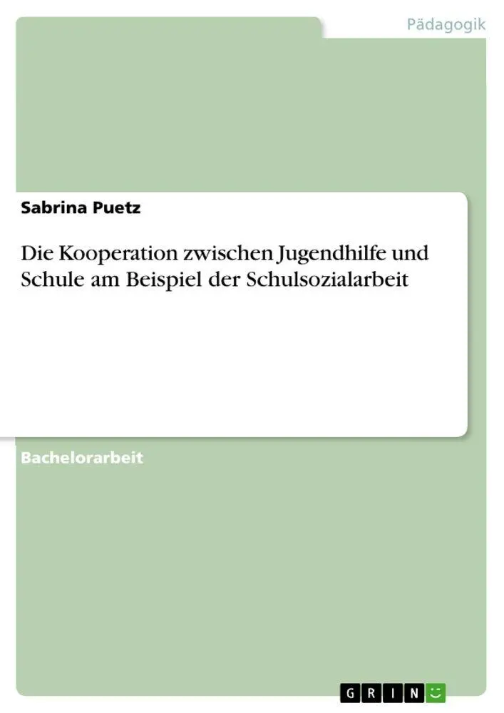 Cover: 9783668235731 | Die Kooperation zwischen Jugendhilfe und Schule am Beispiel der...